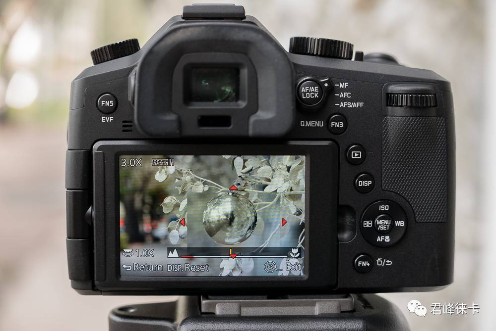 徕卡相机平民推荐,预算一万以内买什么相机