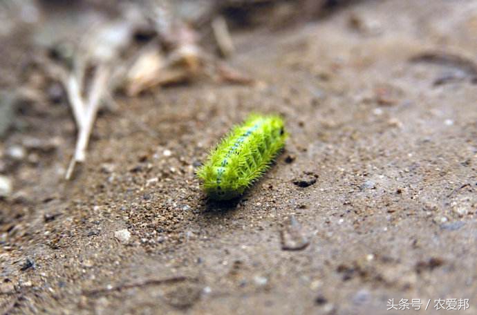 农村的孩子受到太多伤害,在农村的孩子有什么危险