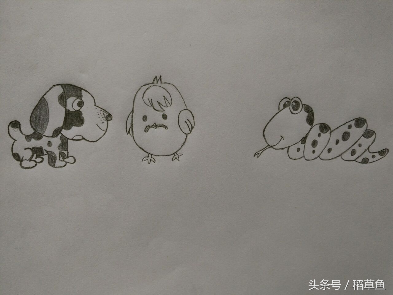 12生肖完整图片马的简笔画,12生肖中的狗简笔画怎么画