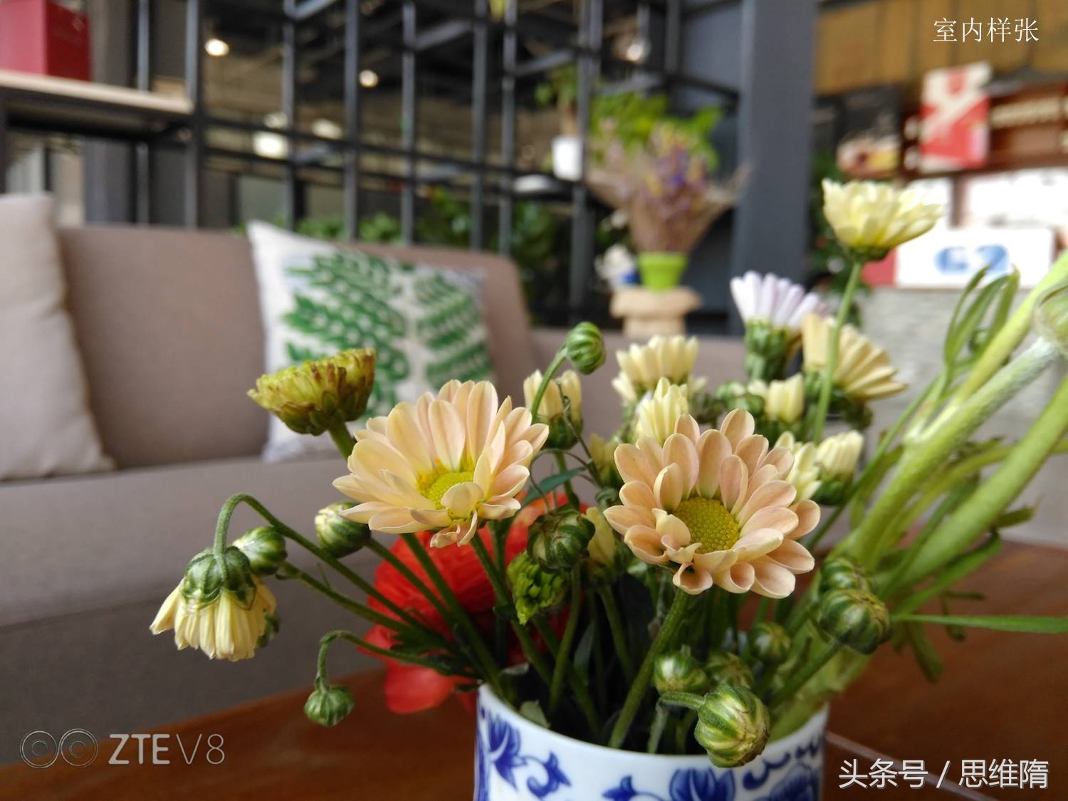 中兴bladev8参数,中兴bladev8最新消息