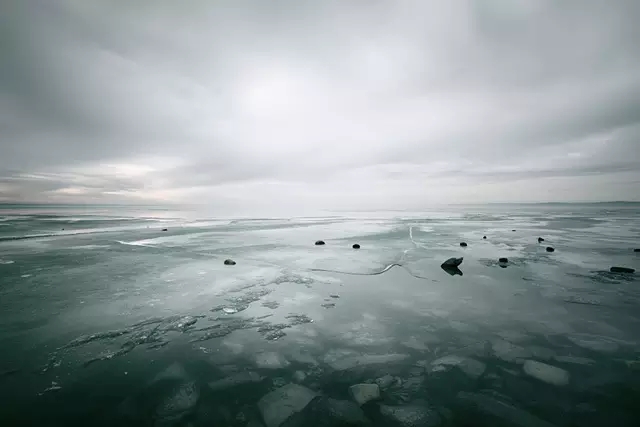 自由是人类最高境界,人类的终极自由就是选择的自由