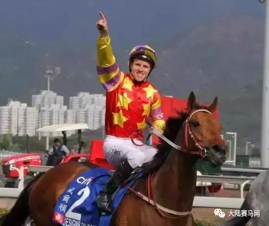 雅士种公马罗马大帝配种费不到1万，子嗣在香港赚了3000万！