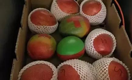 太阳眼镜支付、虎口植入员工证?歪果仁会玩系列