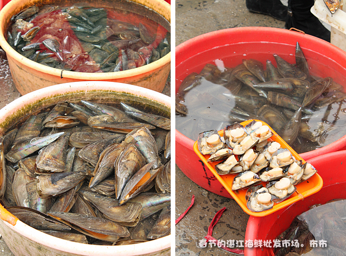 湛江本地人都爱去的地方,湛江一个人去的景点有哪些