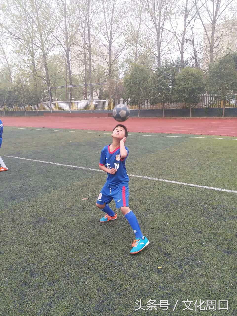 视觉周口｜正在集训的周口足球小子，看看有您认识没