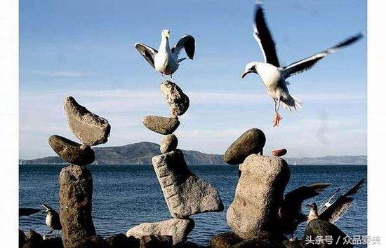 每日一个创意点子,100个有创意的点子