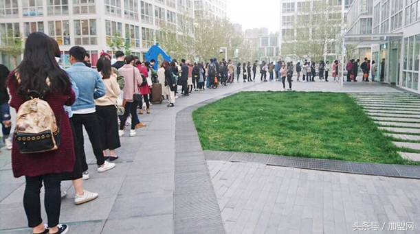 比奶茶还好喝的喜茶,喜茶奶茶加盟费及加盟条件怎么样