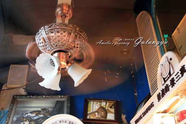 鼓浪屿旅行攻略大全,鼓浪屿旅行攻略大全最新