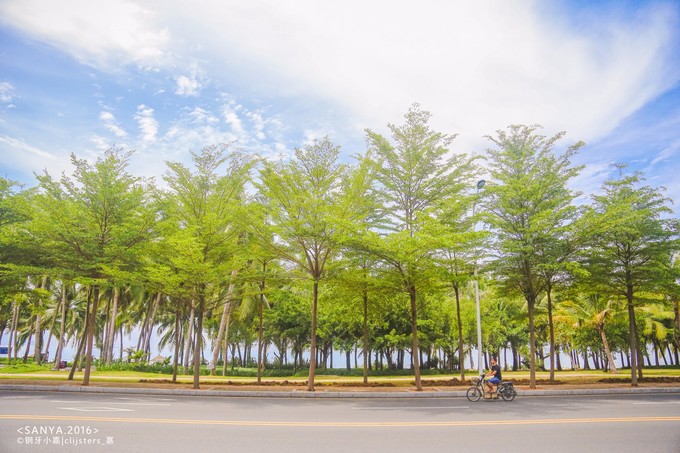 邂逅橘色夏天，让我吻你最后一次的温柔，再去三亚天荒地老