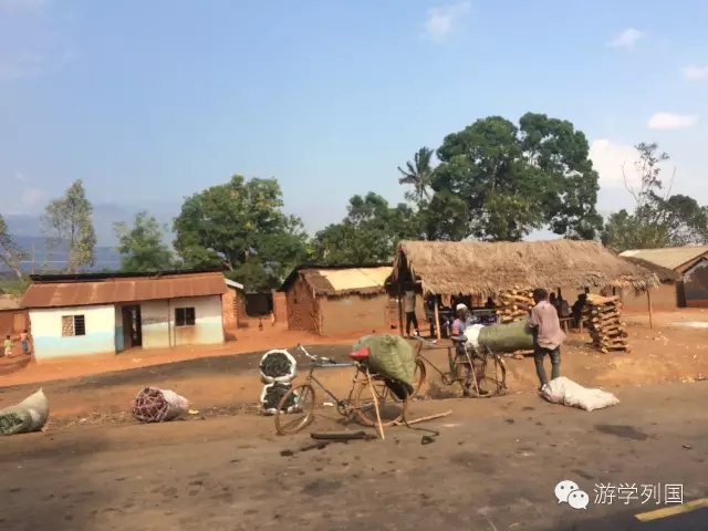 一生必去一次的非洲坦桑尼亚｜回归狂野