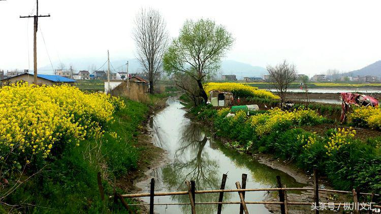 鏋炲窛灞辨按,鏋炲窛