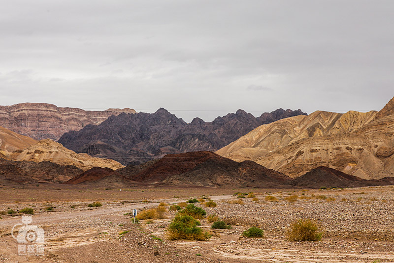 中东荒漠中的“特殊旅行”