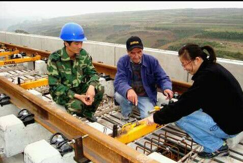 洛阳二乔牡丹开花视频,洛阳二乔