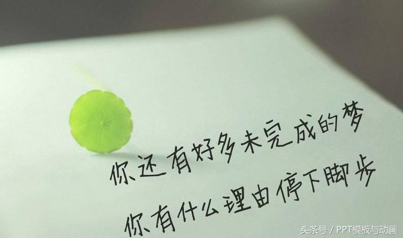 word职场小妙招,word职场手动目录