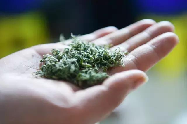 喝茶到底要不要繁杂的茶道,喝茶人必知的十种茶道行话