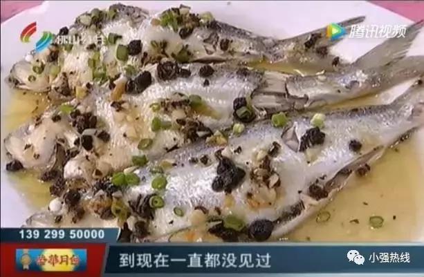 价值千万“贵价鱼”好难养顺德养殖户摸索4年才有收成