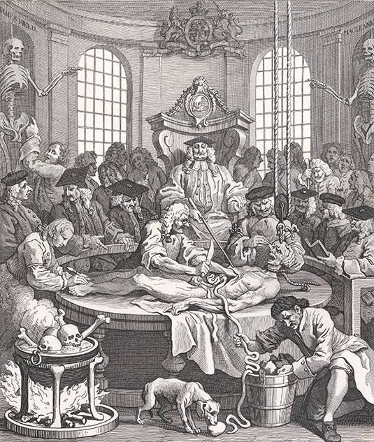 古今中外绘画欣赏,解剖全国绘画优秀作品