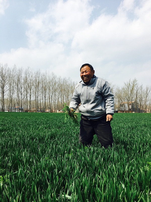 春季手机摄影大赛,摄影有哪些大赛