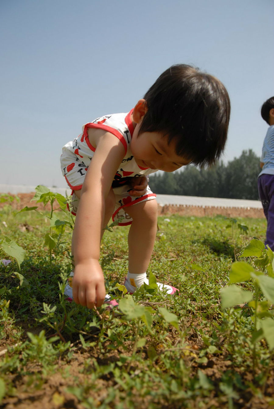 一家有自己农场的幼儿园,关于教育的思考(二)