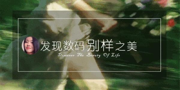 安卓手机丢失了该怎么找回,安卓手机丢了有什么办法找回来