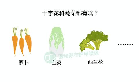 守护甲状腺的科普,保护甲状腺吃什么食物好