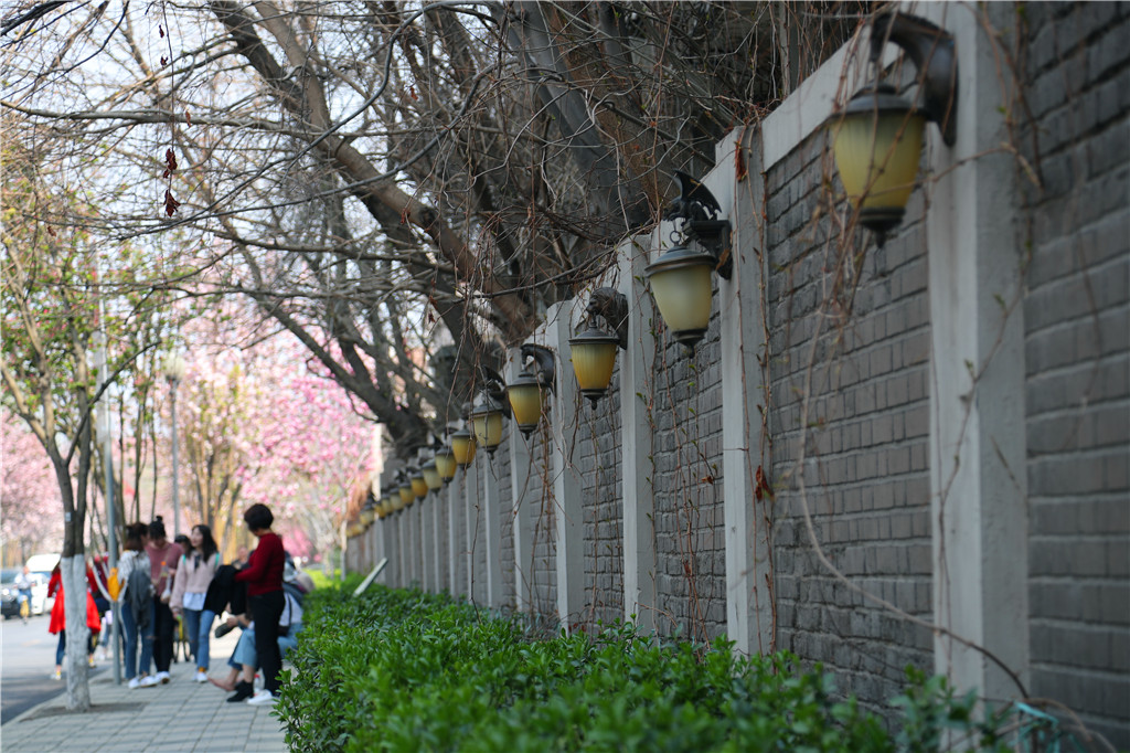 慢行津门，悠*行游**摄——小C的遇见天津之旅