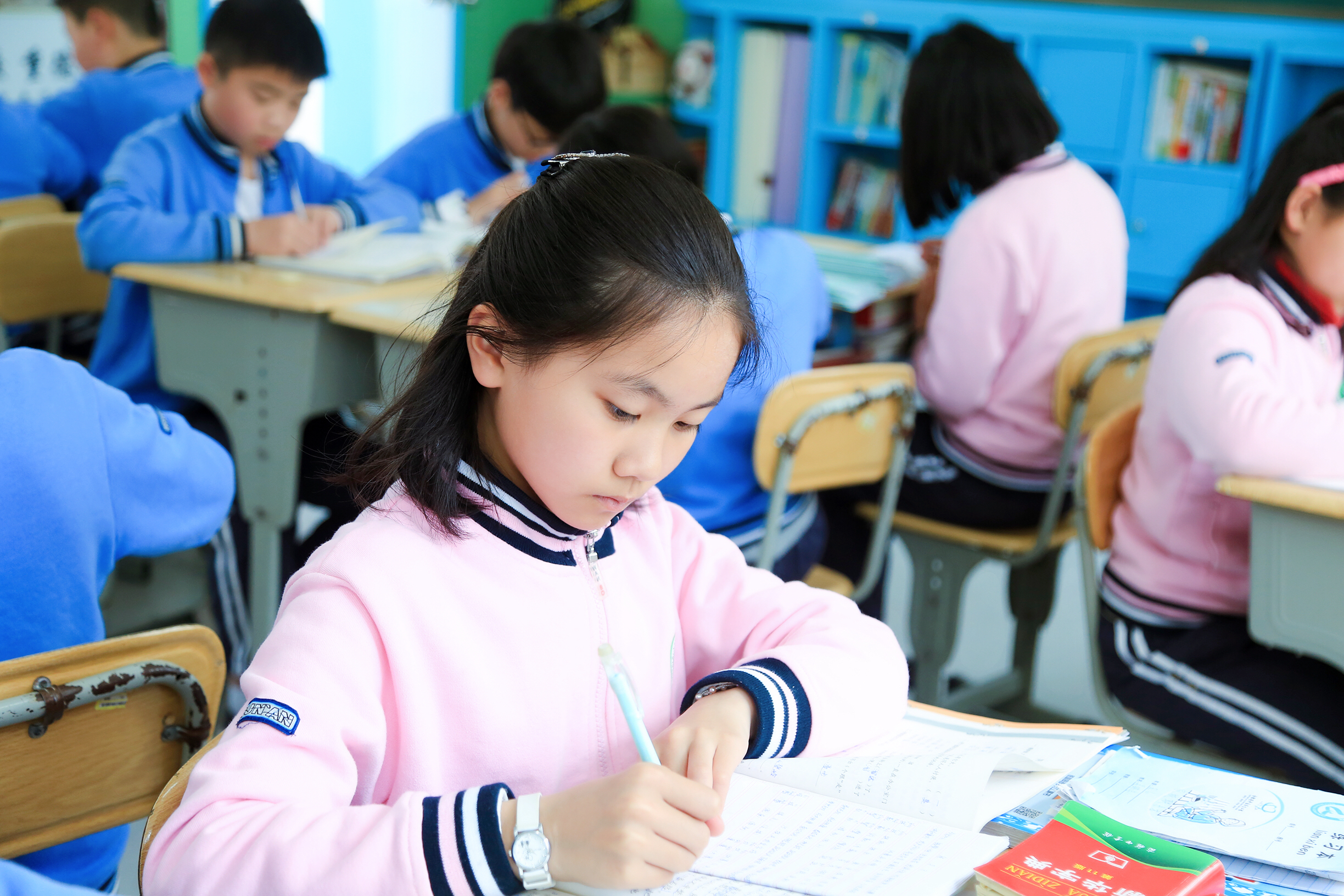 生命化教育,生命化教育理念