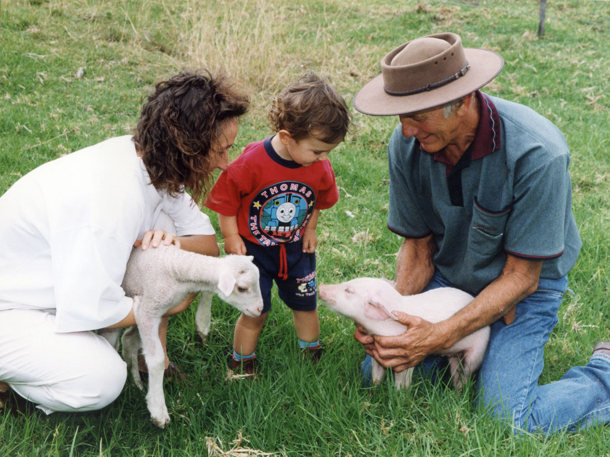 空·客专题：温暖“游”画，度假南半球之淑女游part·1