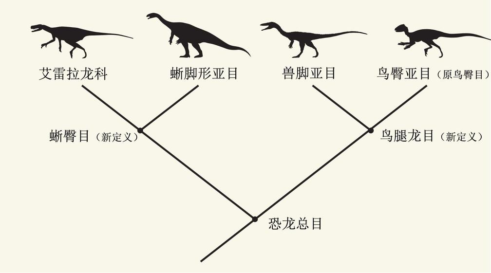 恐龙分类大洗牌，麻雀角龙一家亲丨玉米熊放学小报No.220