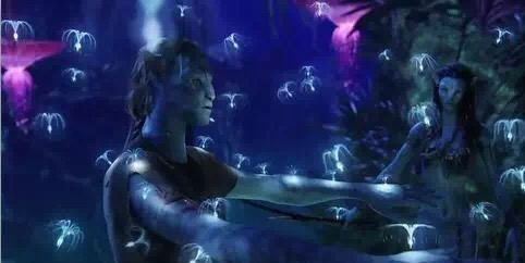 重庆适合小盆友去玩的海洋公园,重庆适合成年人玩的海洋公园推荐