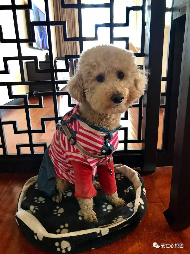 昌平印象山庄风景图,北京昌平美景山庄