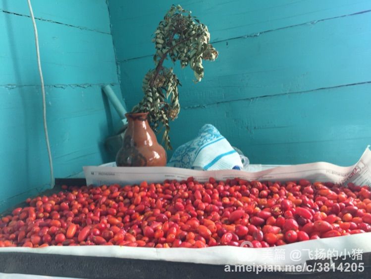 2018贝加尔湖自驾游,贝加尔湖畔自驾游全集