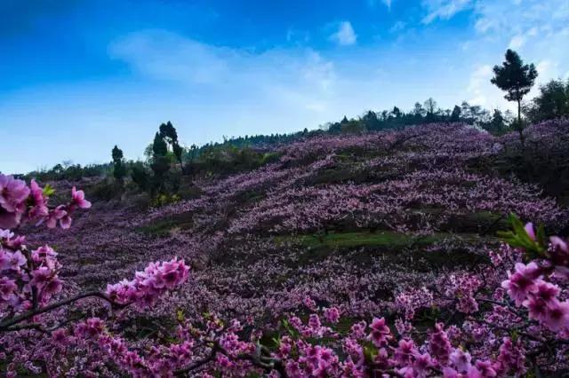 贾平凹的真实故居,贾平凹家乡旅游攻略