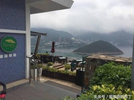 香港旅游攻略必去十大景点,香港西九龙下车后旅游攻略