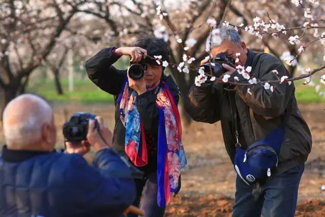 夫妻和谐的万能秘诀,夫妻和谐法则