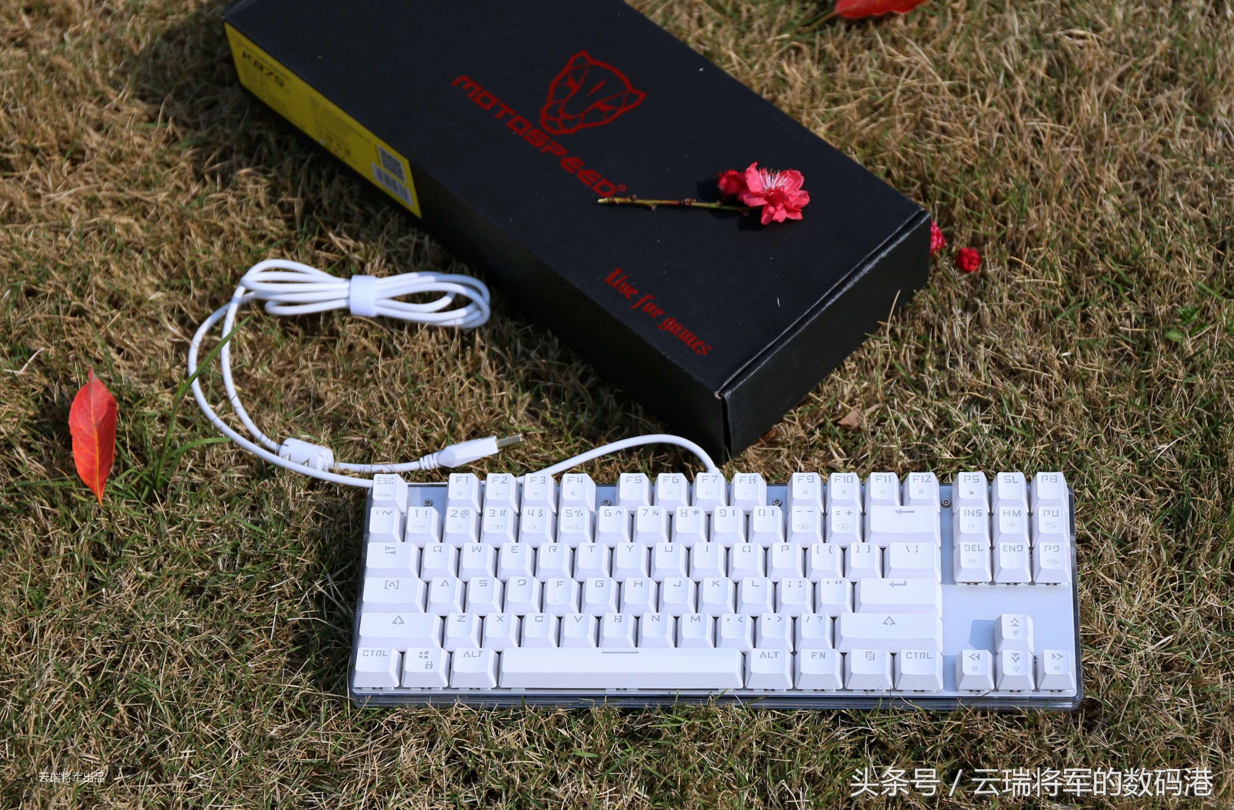 鎽╄惫閿洏k87s,鎽╄惫k87