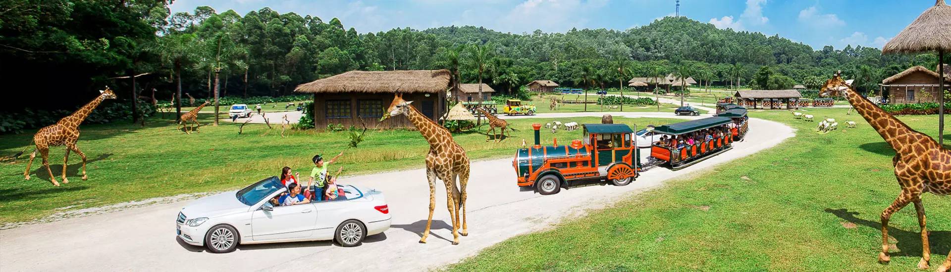 长隆野生动物园自驾游导游,广州长隆野生动物园有导游吗