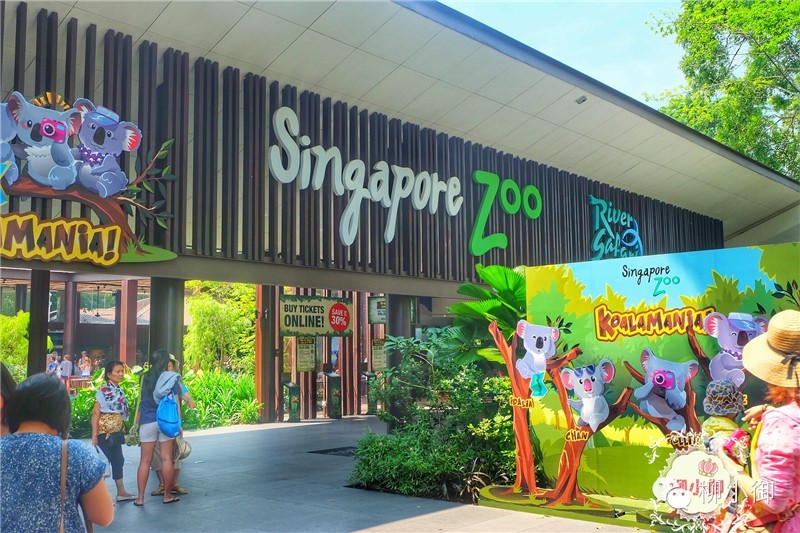 春节旅游去新加坡,新加坡旅游团春节