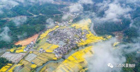 婺源旅游攻略300块钱,自驾游婺源两天旅游攻略及费用