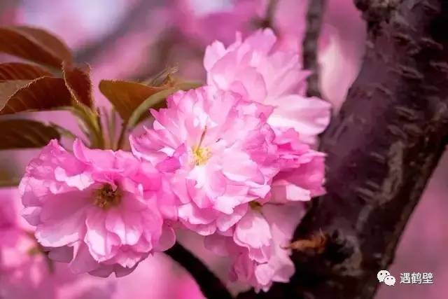 寻找紧急扩散人员名单,紧急寻找紧急扩散