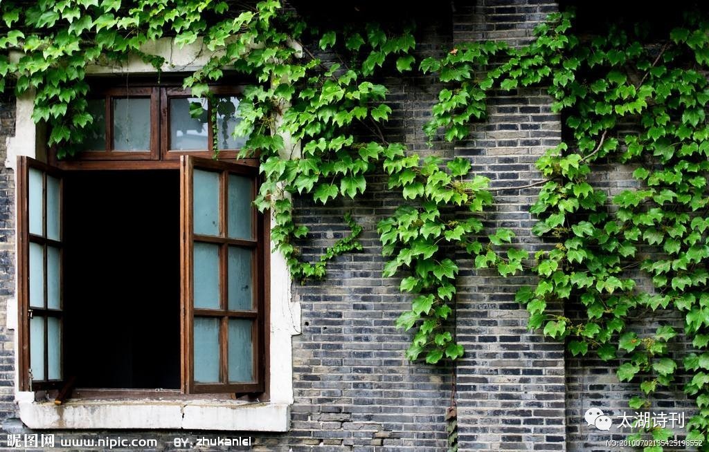 这场爱情没结果,这场爱究竟错在了何处小说