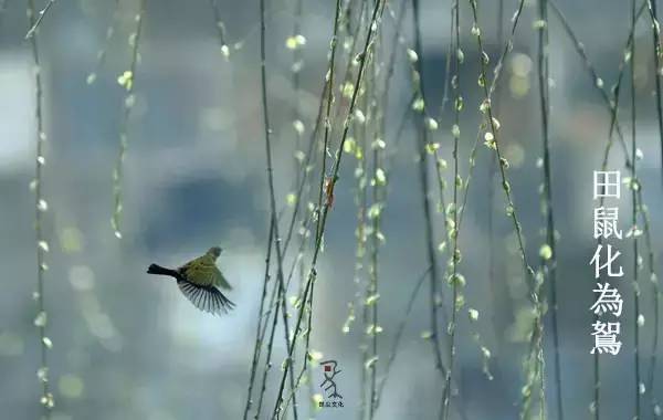 清明节气古诗词,今日清明时间