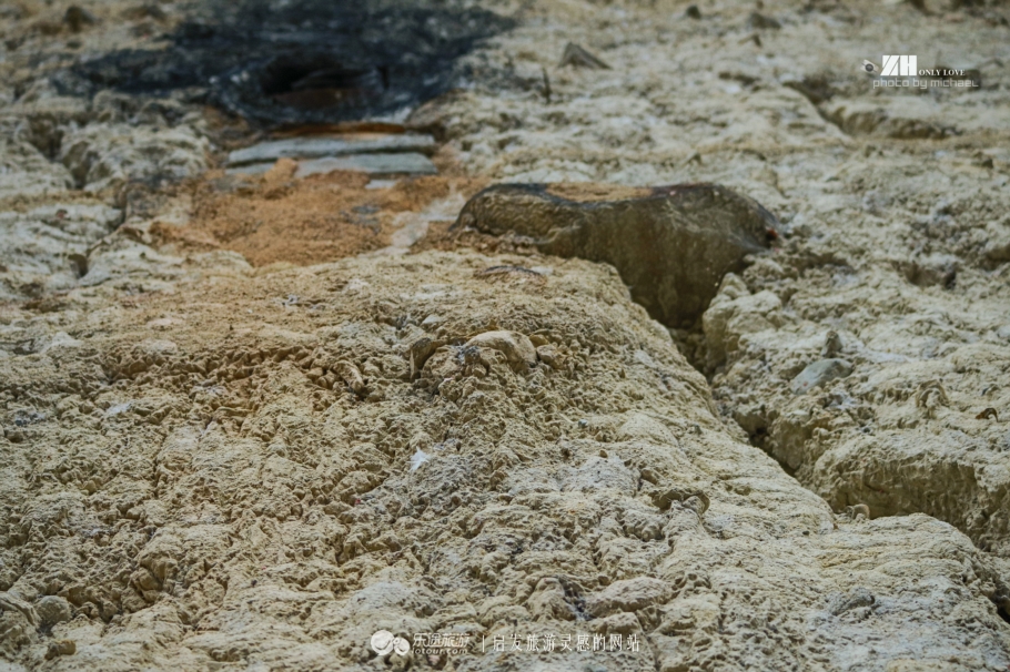 约定今生来世,我会等你——大鱼海棠