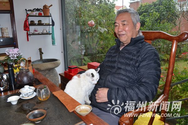 王炳根与冰心对话,王炳根对冰心的研究