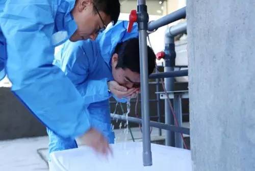 网易丁磊的猪怎么样了,网易养猪丁磊现状