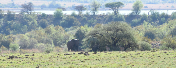 彩虹国家南非,彩虹国度南非之旅