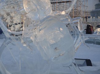 哈尔滨春节自由行,哈尔滨春节活动