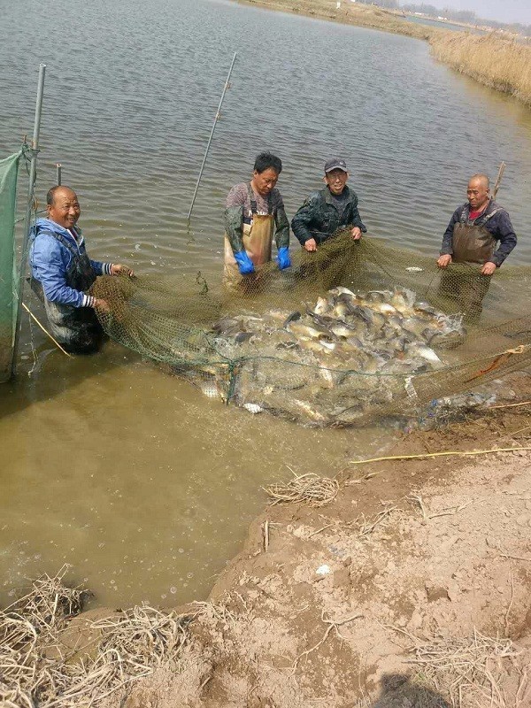 「本土味道」最近,准旗人饭桌上这道美食火了,一定要去吃一次!