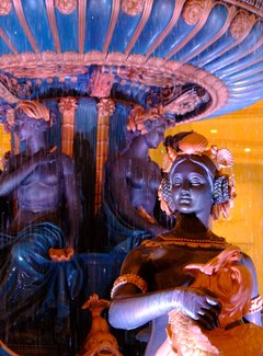 与日本冬天不期而遇在哪,与日本冬天不期而遇后续