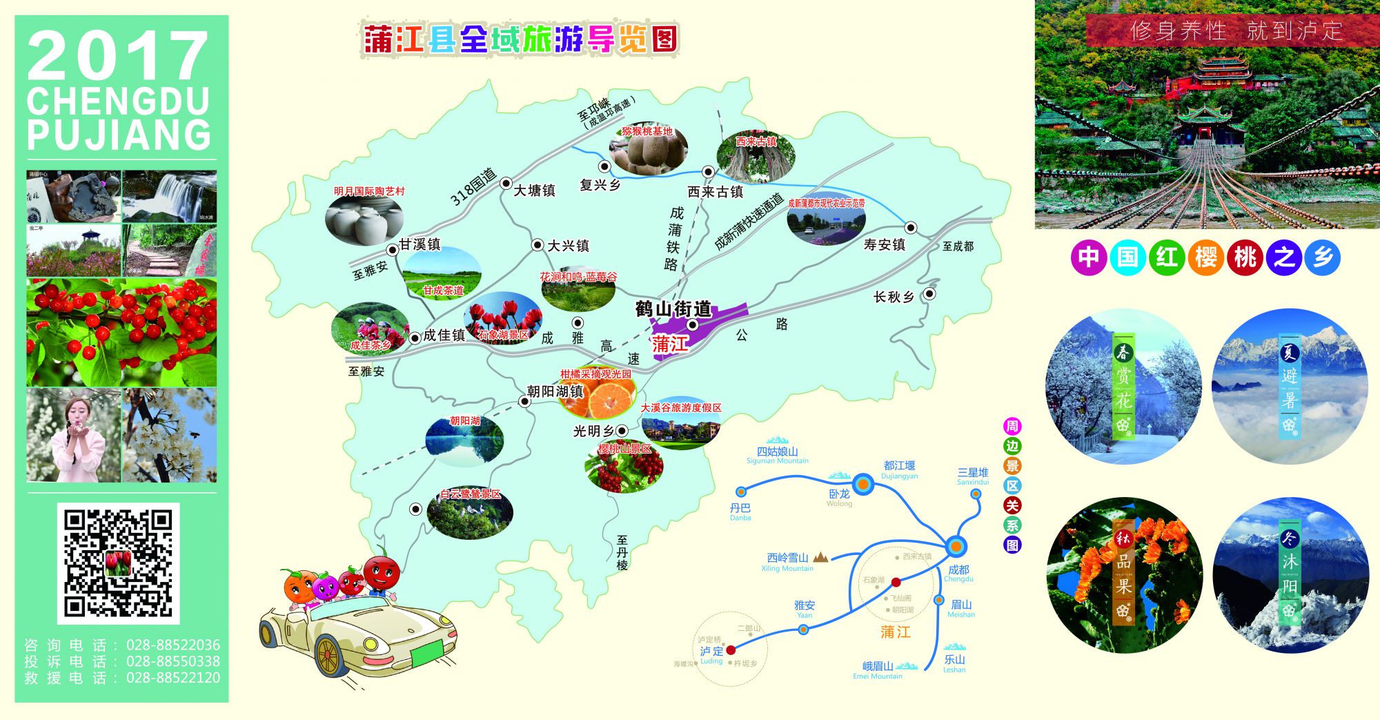 蒲江樱桃节什么时候,樱桃红啦